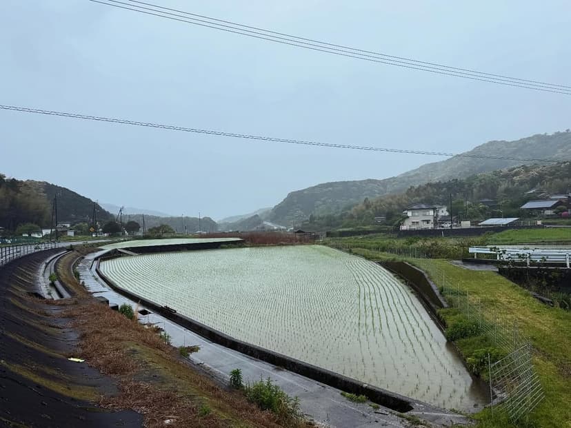春雨の遍路道（愛南町）
