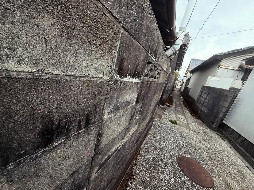 安芸海岸・安芸の路地（3/30 夕）