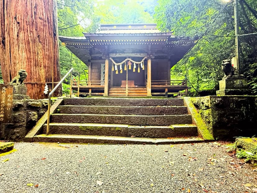 八幡宮来宮神社