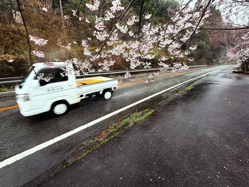 雨の35km——インナースペースへの旅
