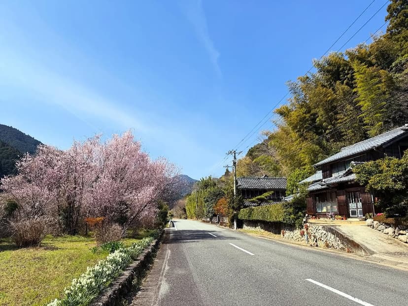 鶴林寺（20番）