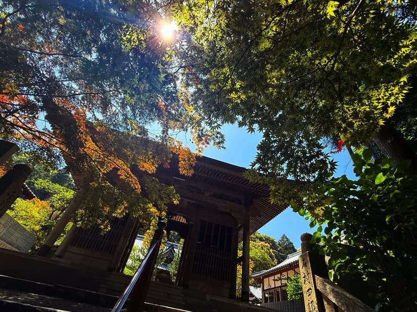 石鎚神社 口之宮 本社