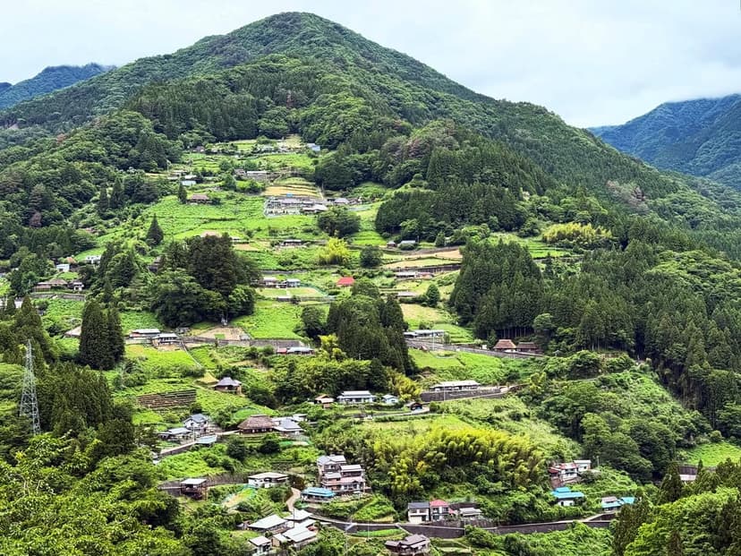 祖谷渓 小便小僧