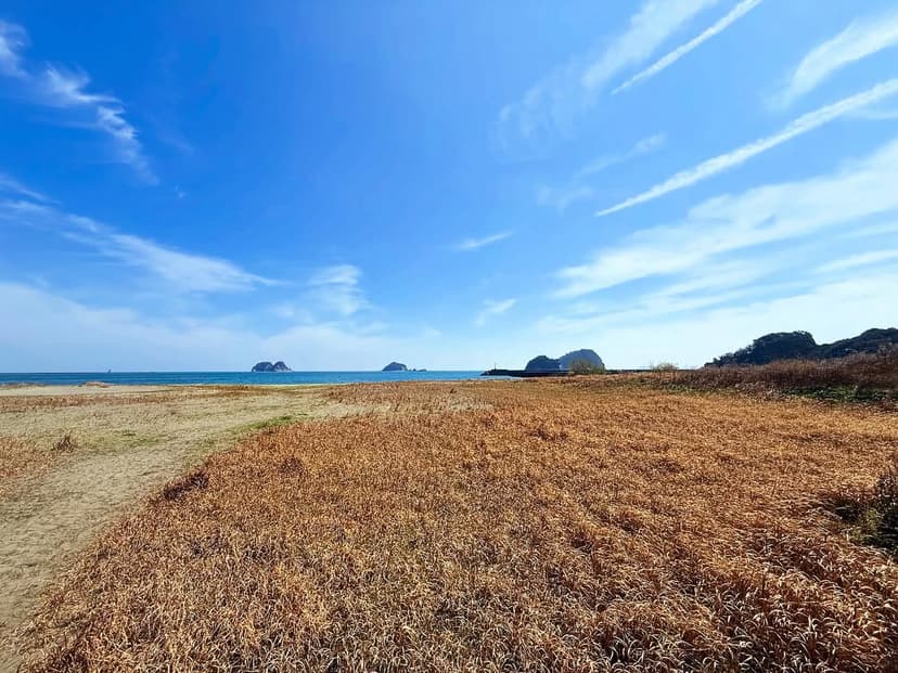 海陽町の海岸