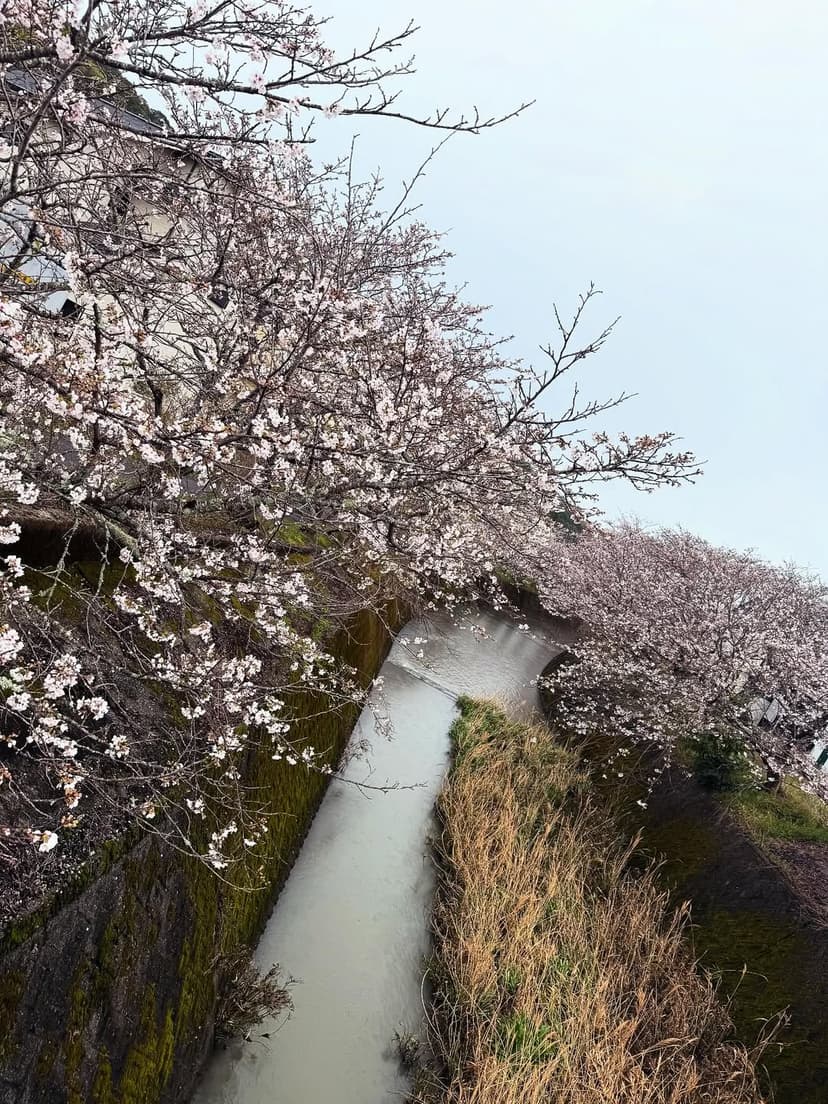 横山賢二