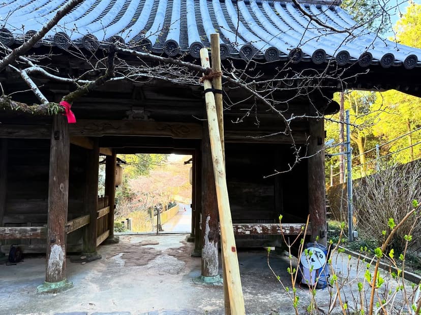 八須賀桜・8番熊谷寺