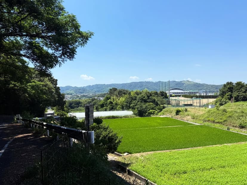 結願遍路道 五剣山〜志度海岸