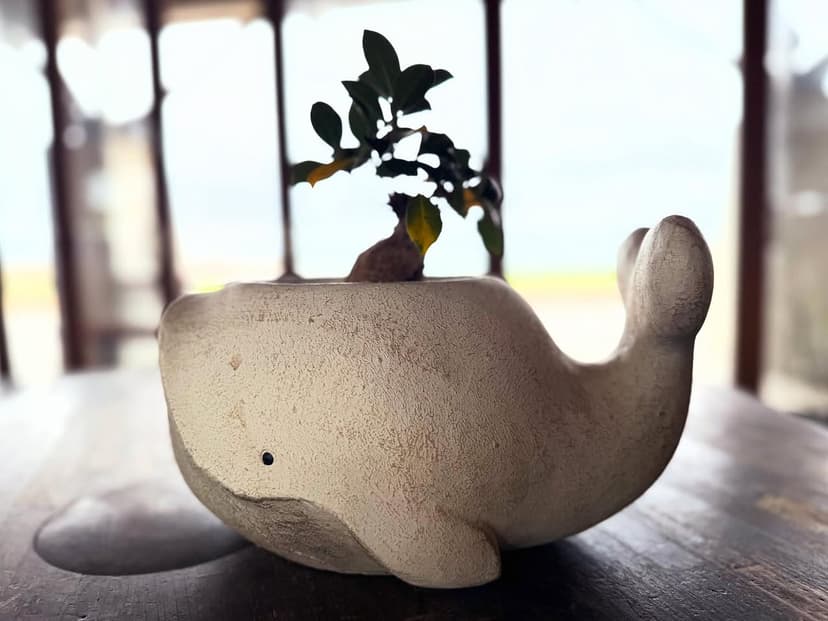 サンライフコーヒーウェーブ（SUNLIFE COFFEE WAVES.）