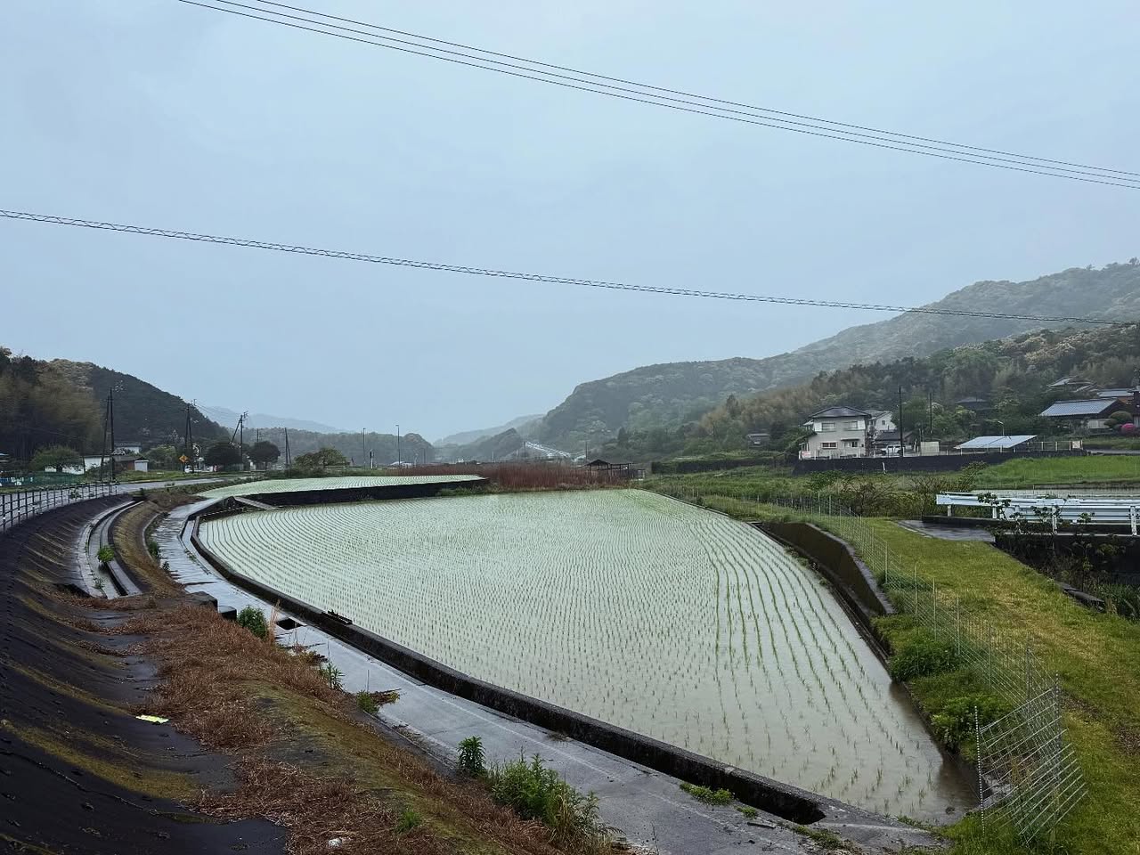 春雨の遍路道(愛南町) 2