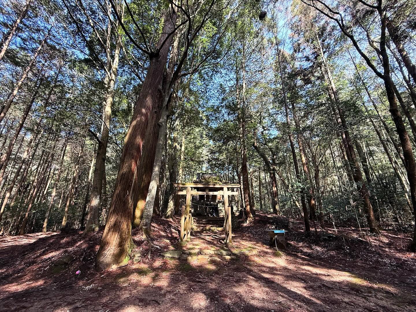 御所神社 1