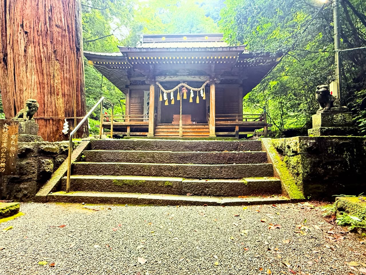 八幡宮来宮神社 2