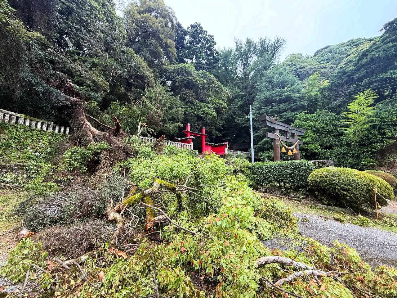 八幡宮来宮神社 3