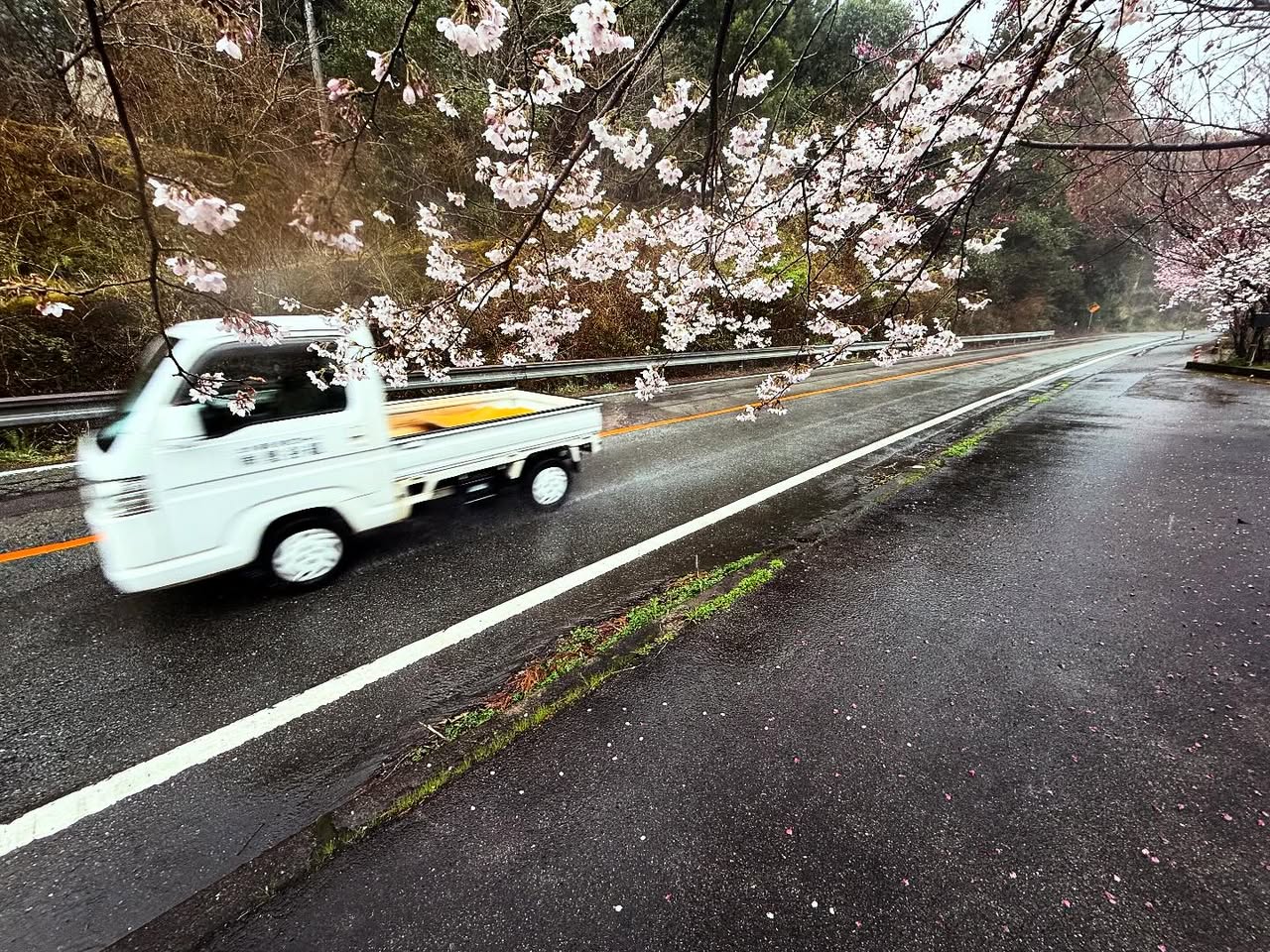 雨の35km——インナースペースへの旅 2