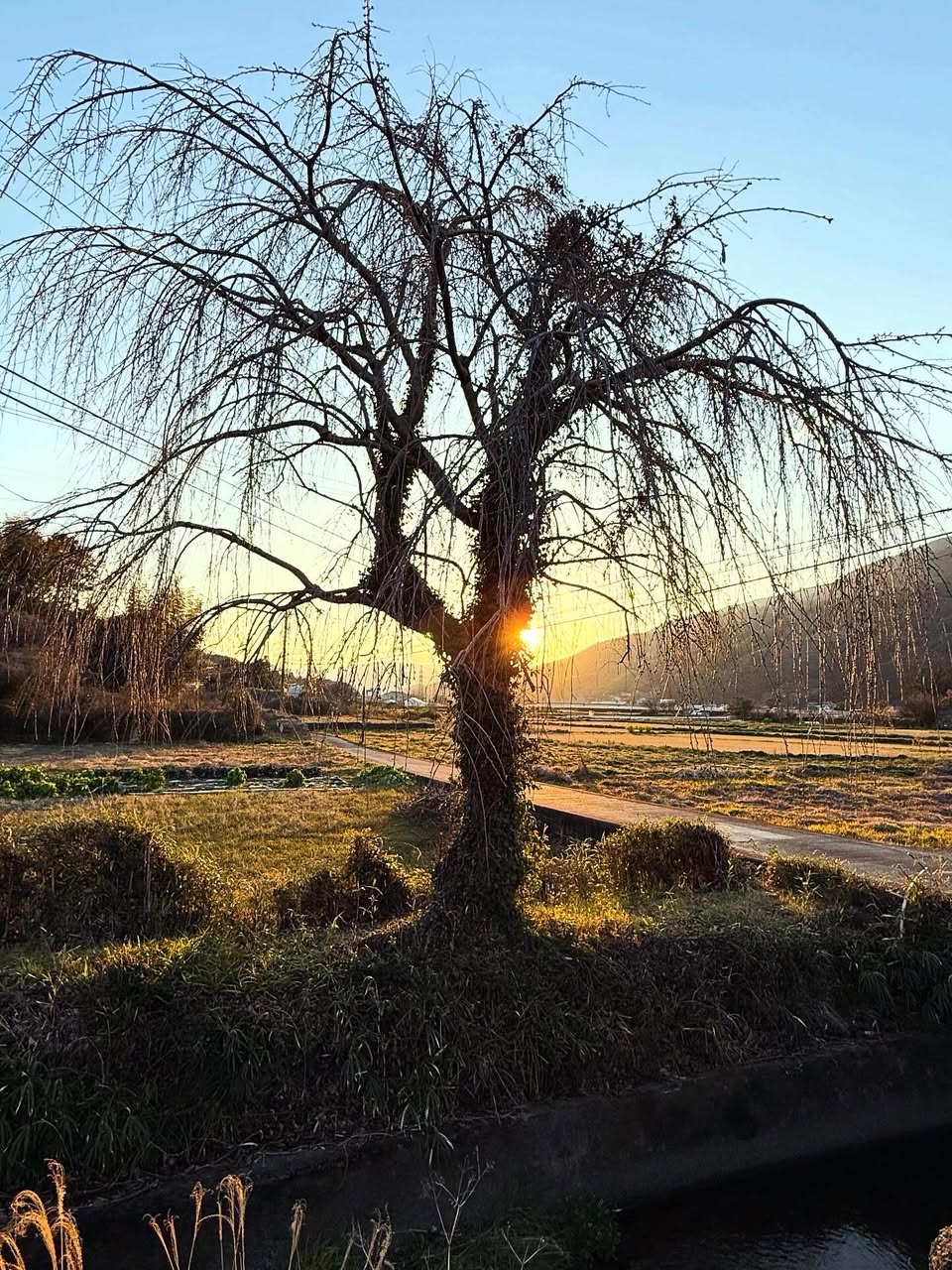 19番立江寺 2