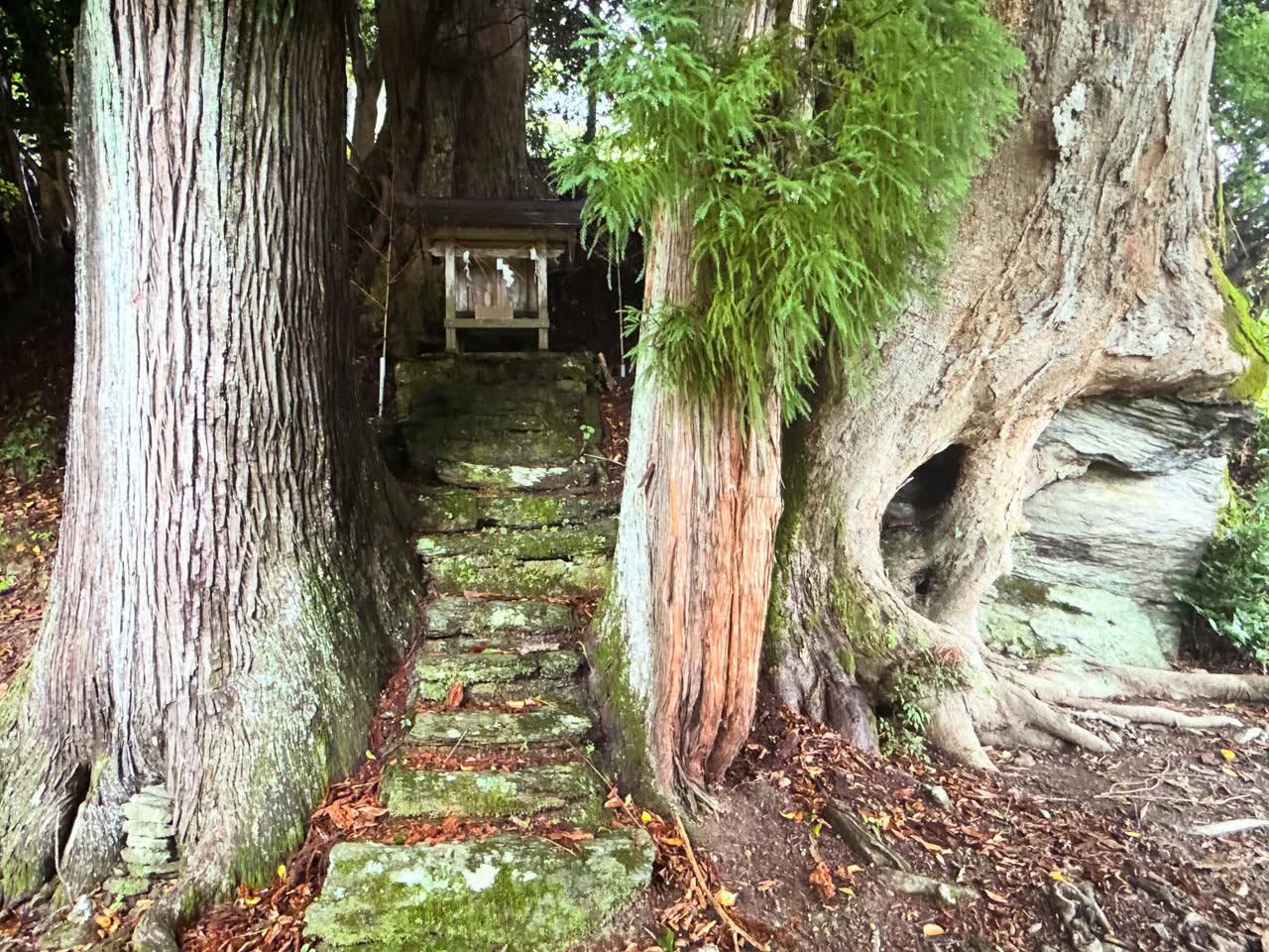 栗枝渡八幡宮(くりしとはちまんぐう) 1