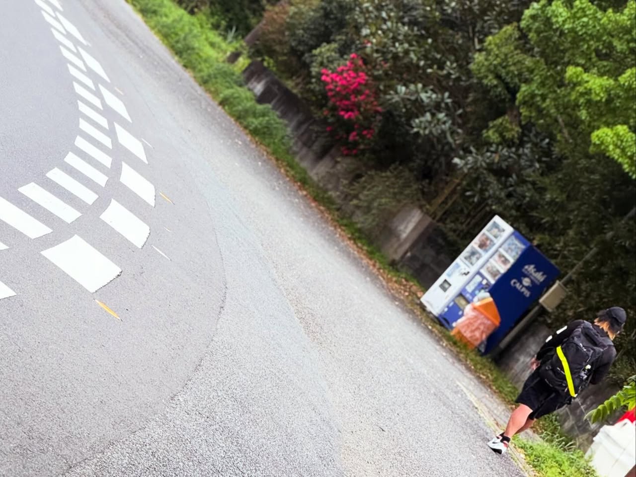 りーさんとの遭遇（峠の遍路道） 2