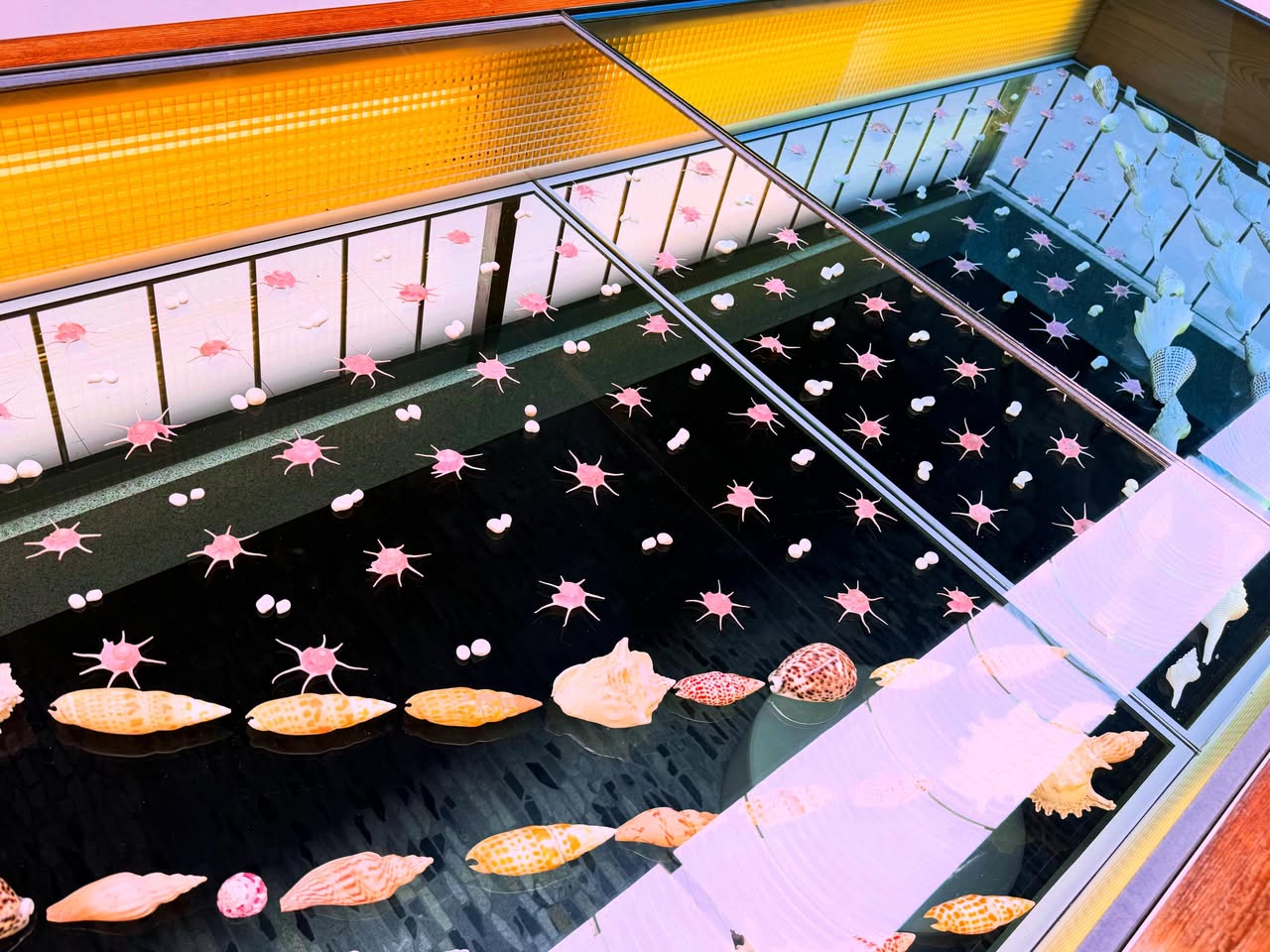 高知県立足摺海洋館 SATOUMI 3