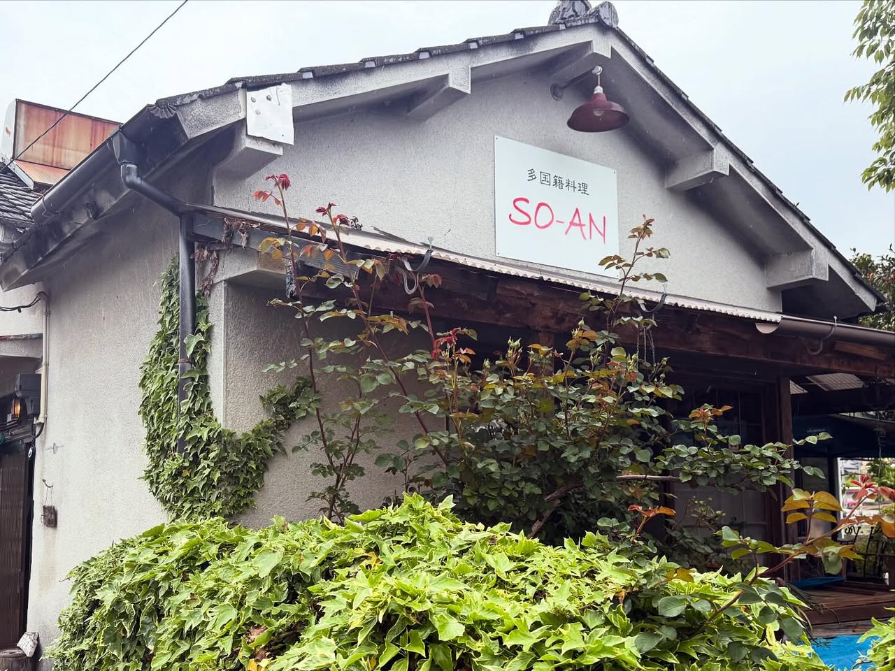 公文潔(SO-AN) 1