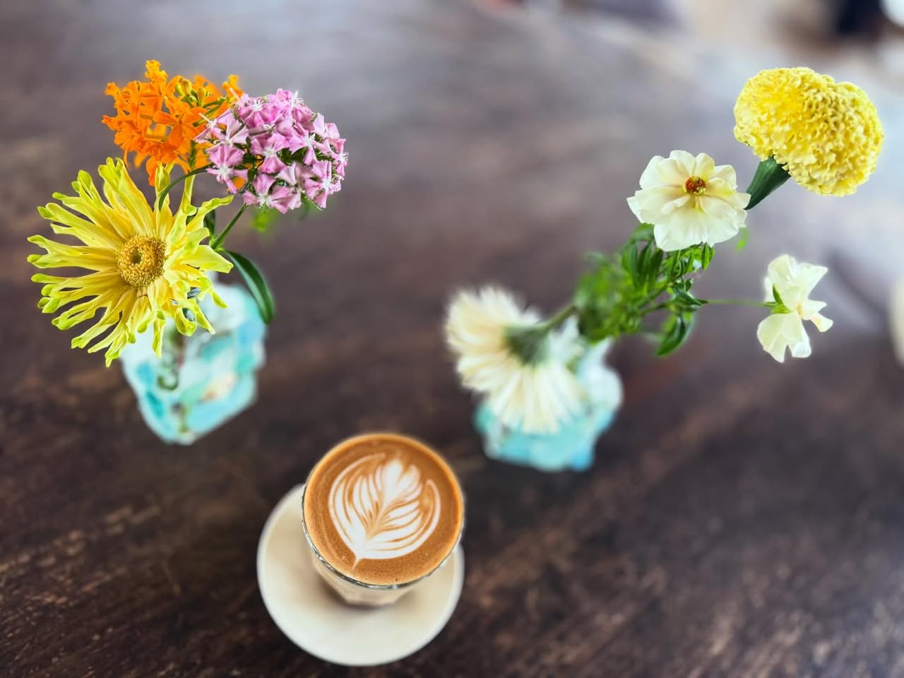 サンライフコーヒーウェーブ(SUNLIFE COFFEE WAVES.) 2