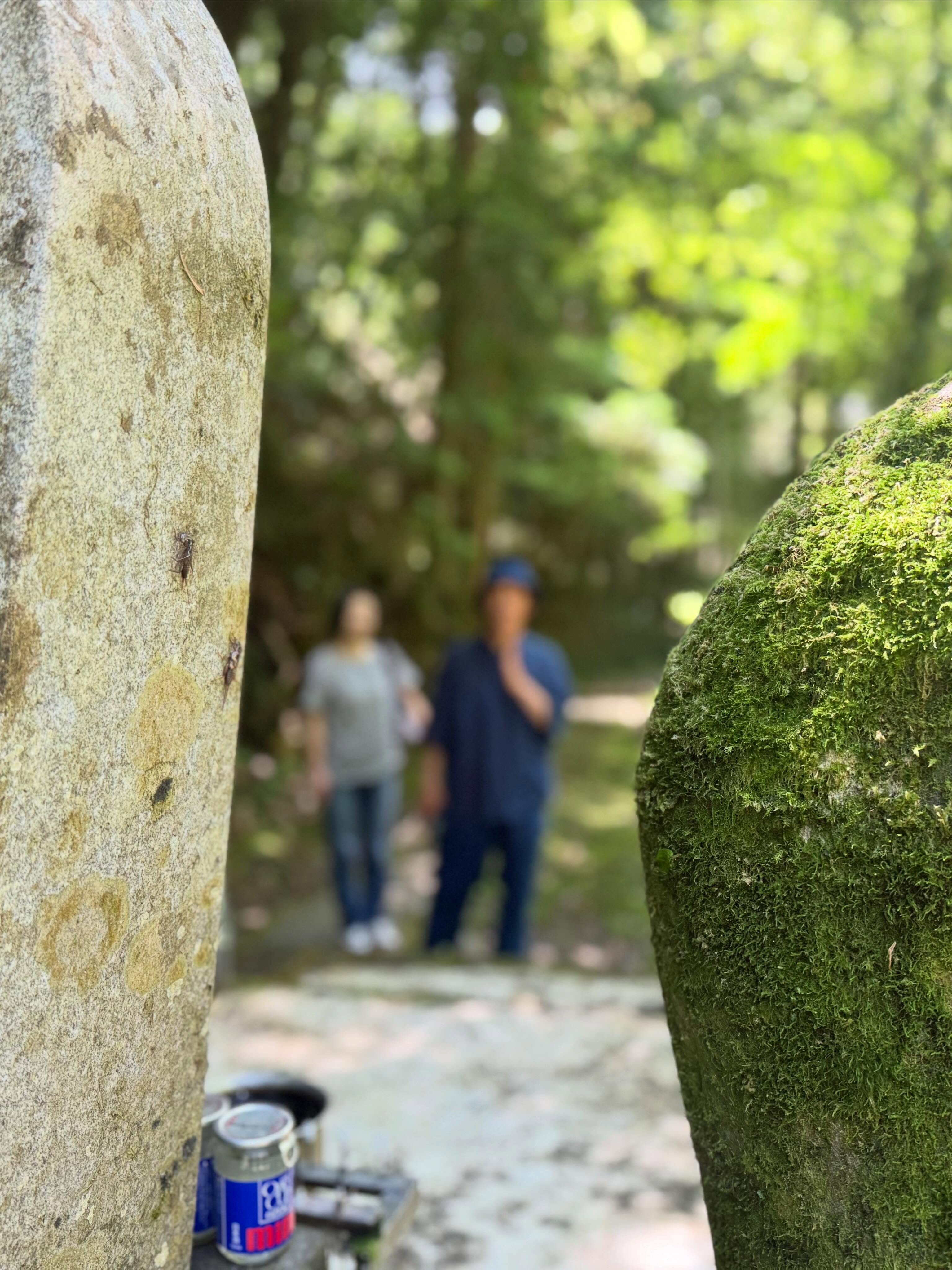 轟の滝・轟神社 20