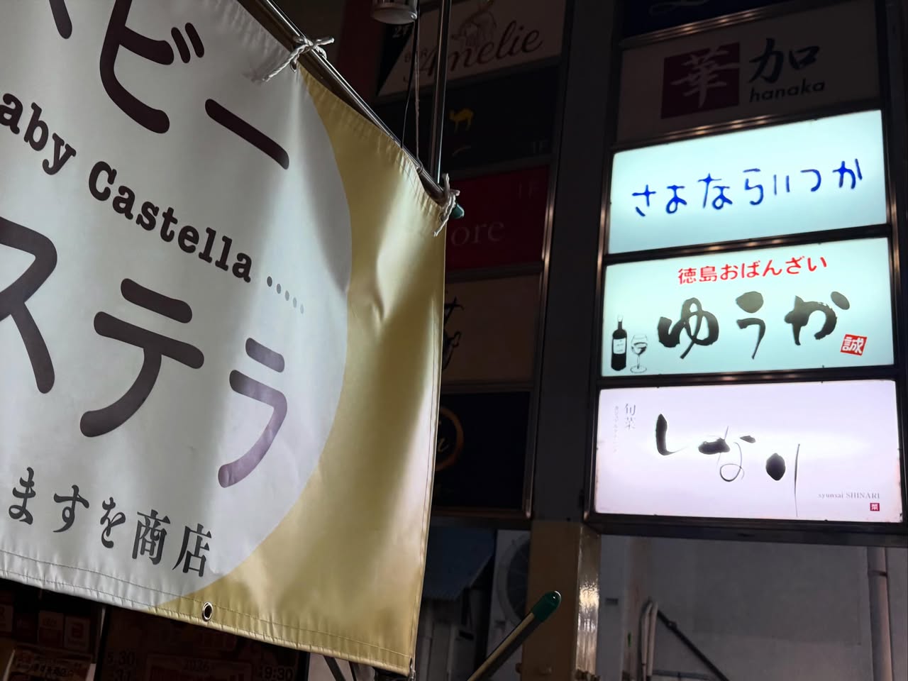 徳島夜の横丁 2