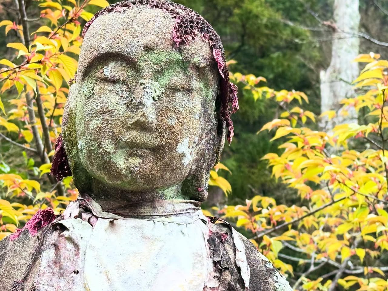 薬王寺 1